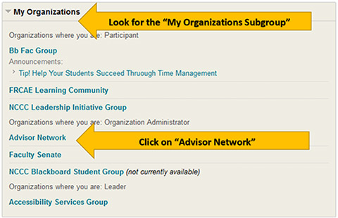 Instructions for Accessing Blackboard Group