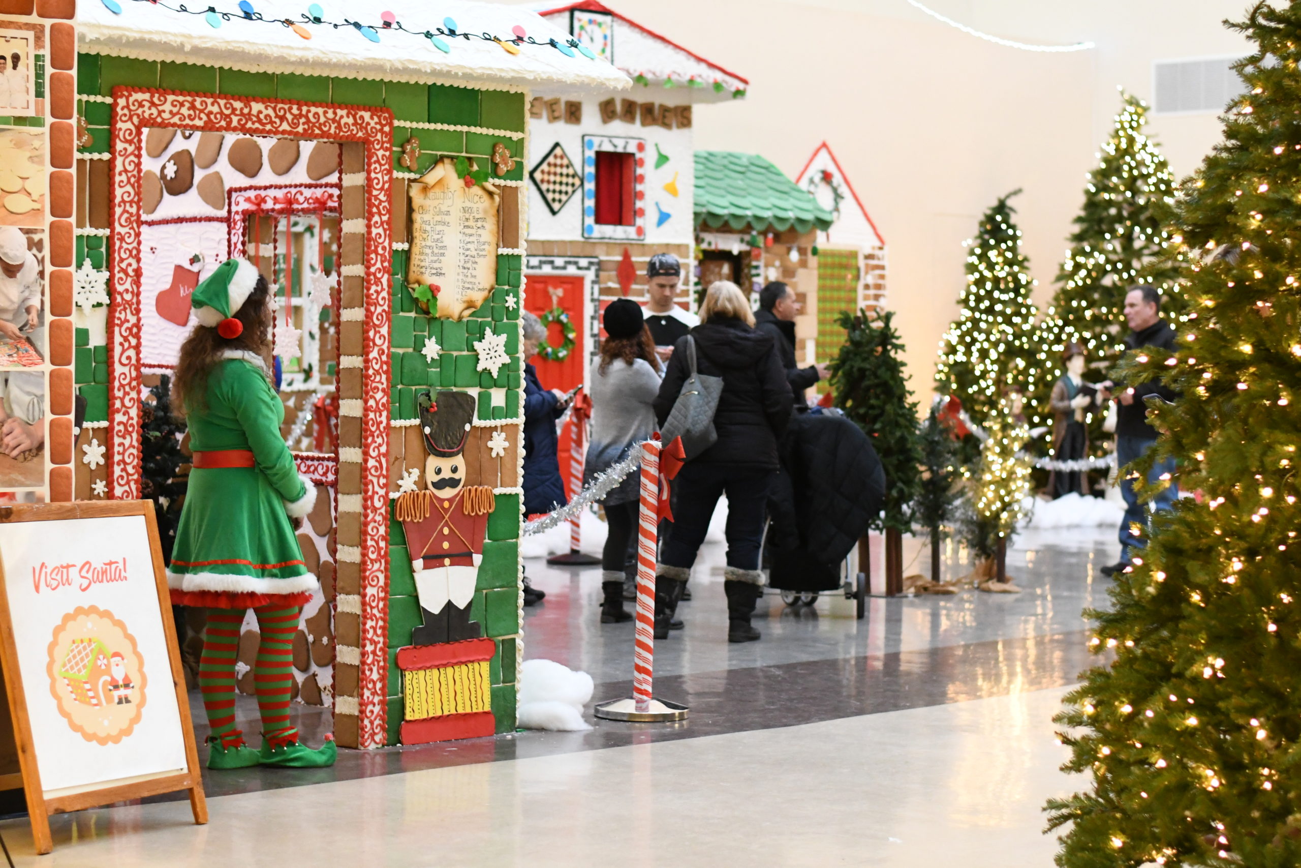 Gingerbread Wonderland