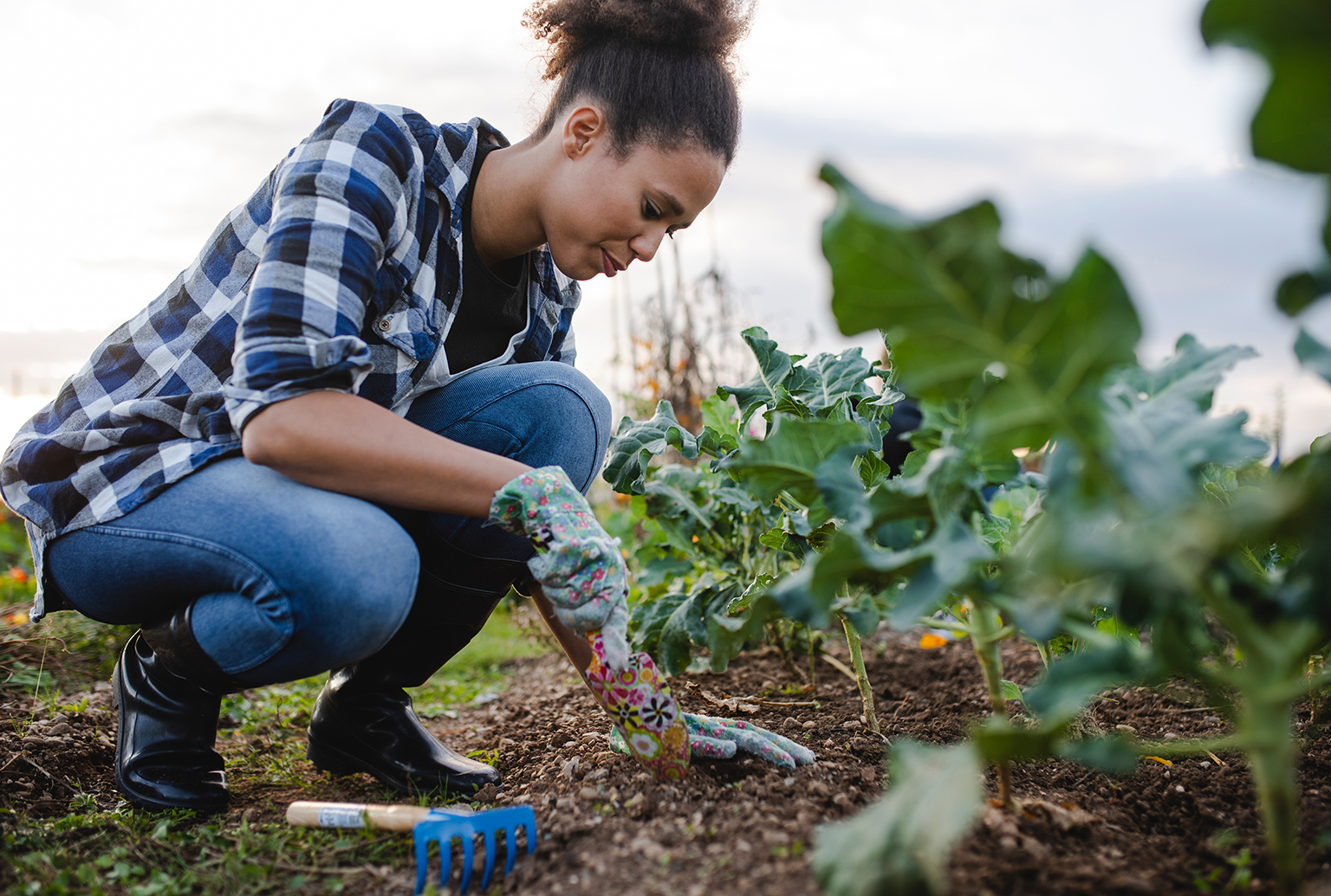 horticulture