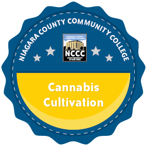 Cannabis Cultivation Icon